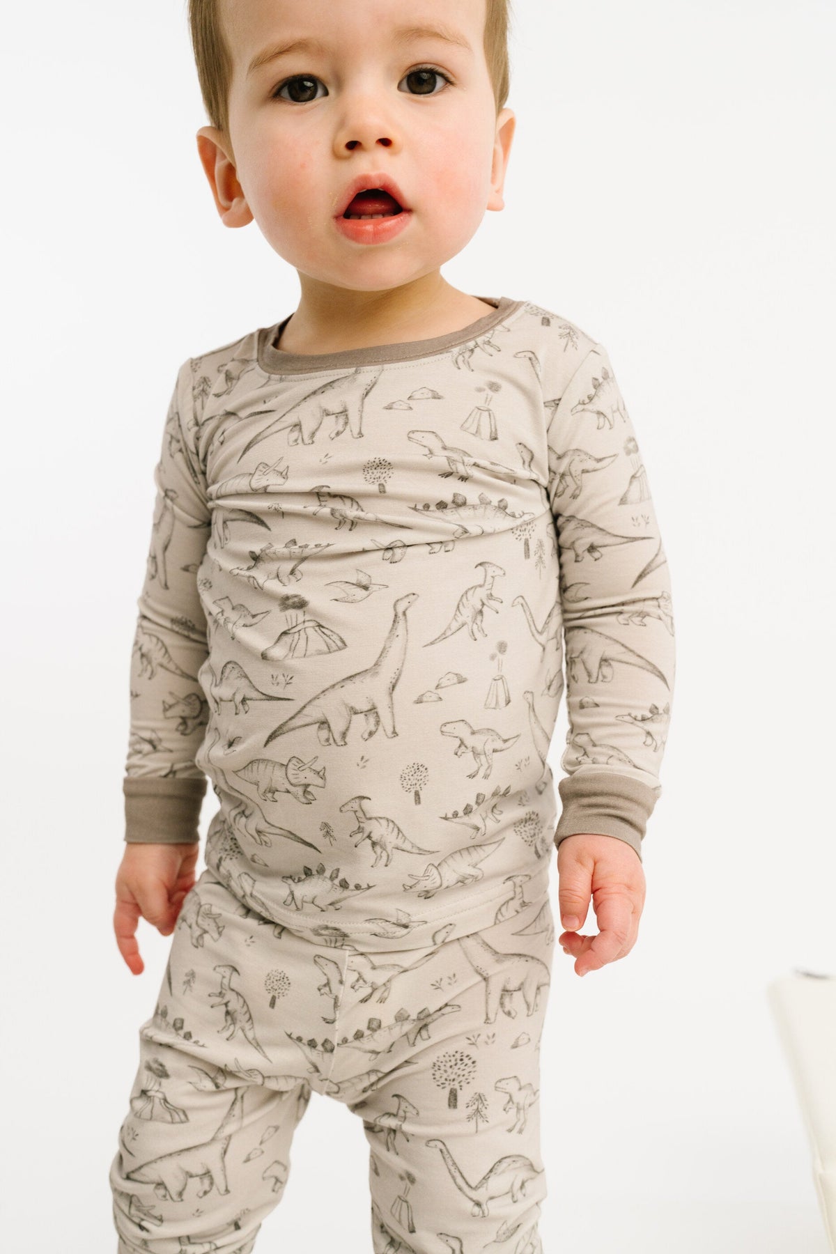 Dino Doodles Bamboo Set